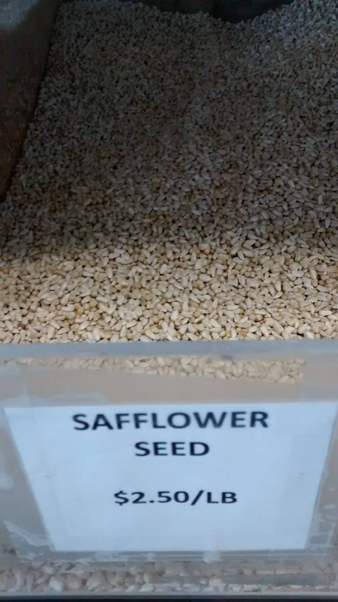 Safflower Seed (bulk) Bird is the Word